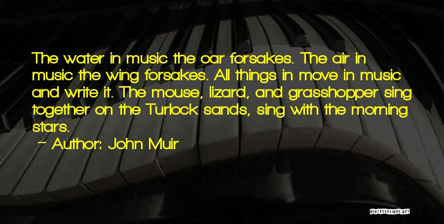 Music And Quotes By John Muir