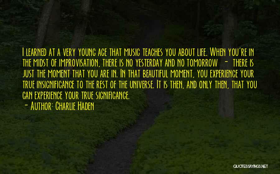 Music And The Universe Quotes By Charlie Haden