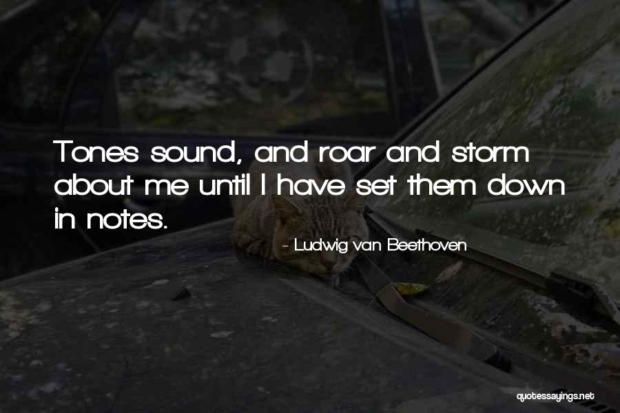 Music Beethoven Quotes By Ludwig Van Beethoven Music Beethoven Quotes By Ludwig Van Beethoven