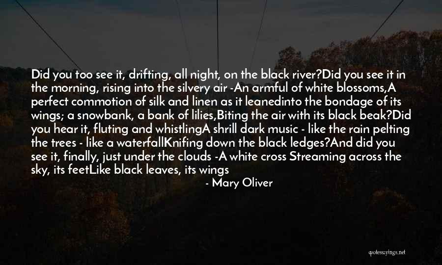 Music Changed My Life Quotes By Mary Oliver Music Changed My Life Quotes By Mary Oliver