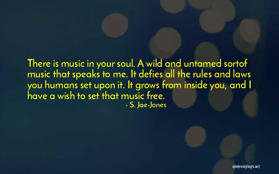 Music In Your Soul Quotes By S. Jae-Jones Music In Your Soul Quotes By S. Jae-Jones