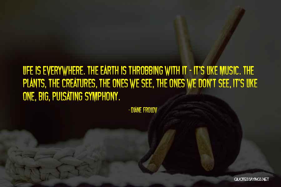 Music Is Everywhere Quotes By Diane Frolov