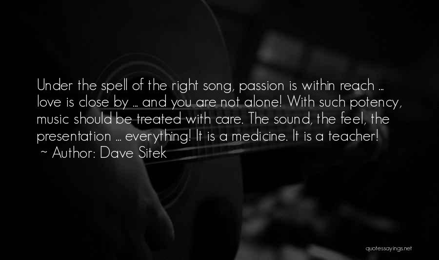 Music Is My Medicine Quotes By Dave Sitek