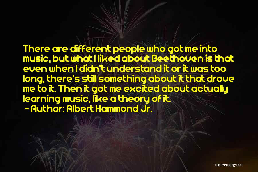 Music Learning Quotes By Albert Hammond Jr.