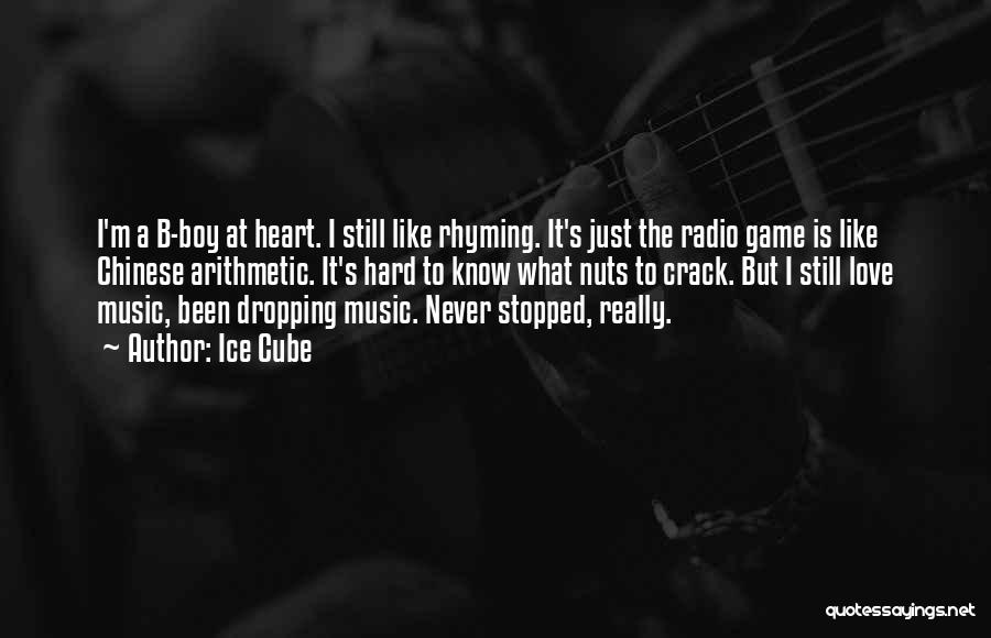 Music Never Stopped Quotes By Ice Cube