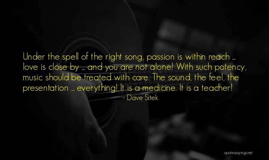 Music Passion Love Quotes By Dave Sitek