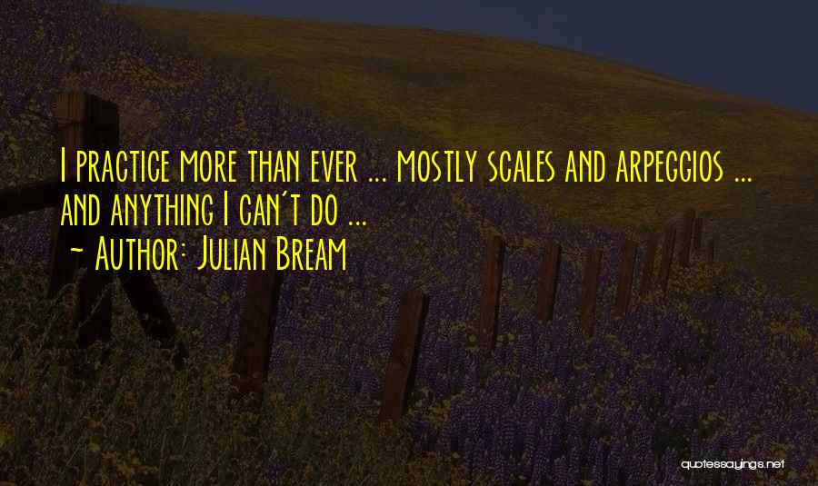Music Practice Quotes By Julian Bream