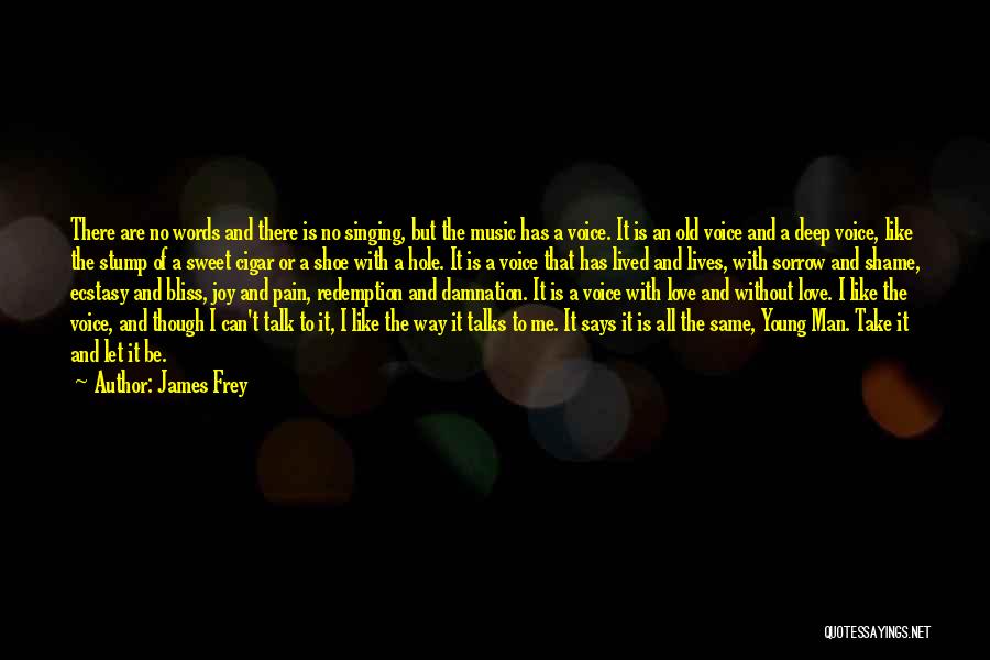 Music Says It All Quotes By James Frey
