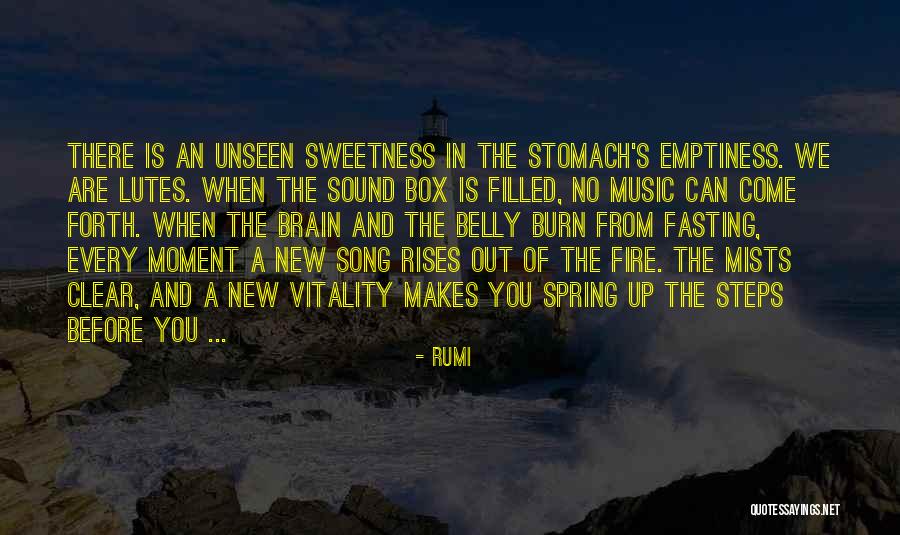 Music Song Quotes By Rumi