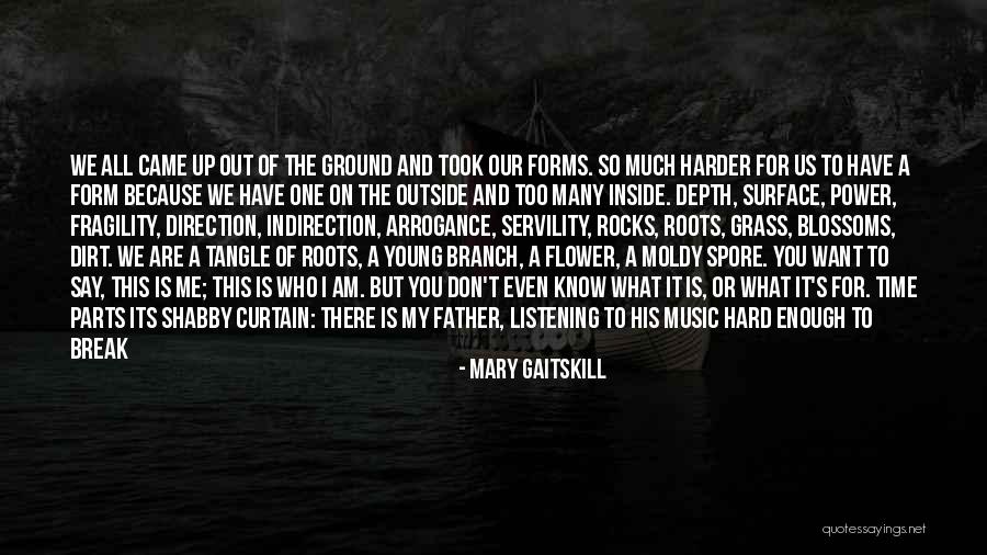 Music We Heart It Quotes By Mary Gaitskill