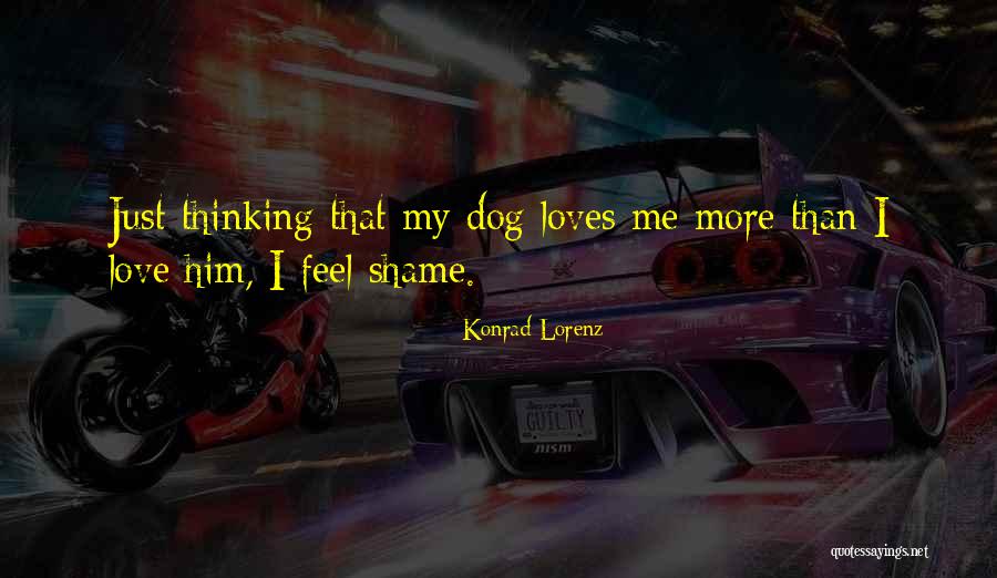 Musicais Filmes Quotes By Konrad Lorenz Musicais Filmes Quotes By Konrad Lorenz