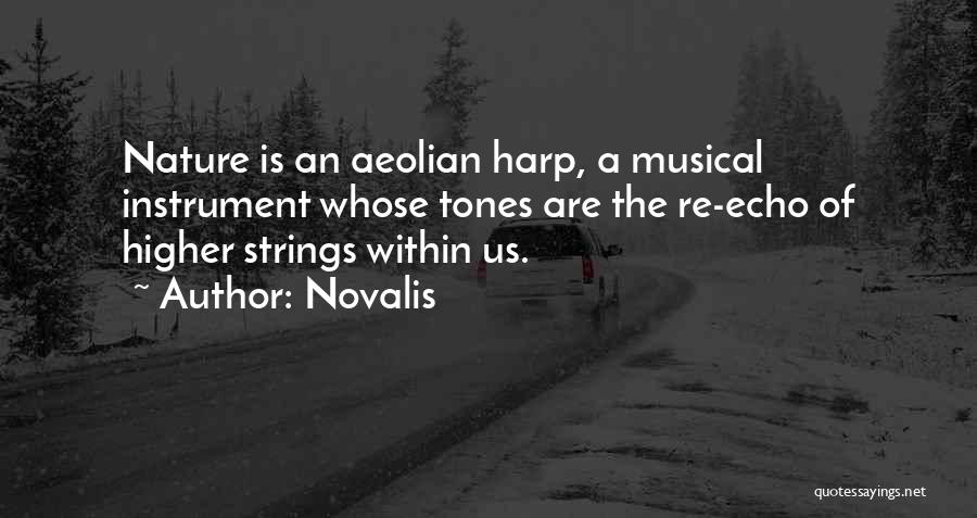 Musical Instrument Quotes By Novalis