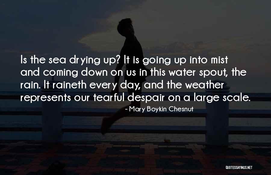 Musicales De Broadway Quotes By Mary Boykin Chesnut Musicales De Broadway Quotes By Mary Boykin Chesnut