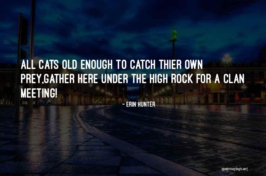 Musichas Quotes By Erin Hunter Musichas Quotes By Erin Hunter
