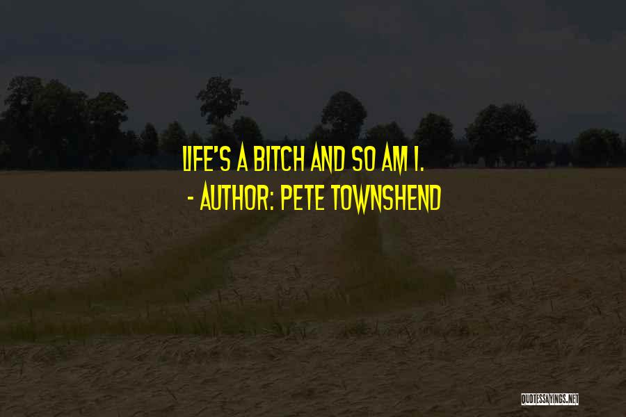 Musicians Life Quotes By Pete Townshend