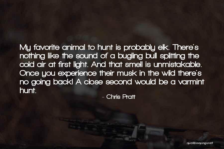 Musikinstrumente Matthias Quotes By Chris Pratt Musikinstrumente Matthias Quotes By Chris Pratt