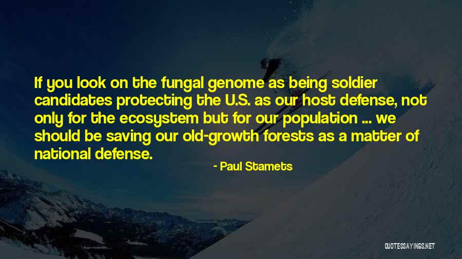 Muskarac Gazda Quotes By Paul Stamets Muskarac Gazda Quotes By Paul Stamets