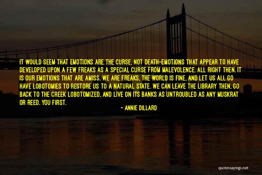 Muskrat Quotes By Annie Dillard Muskrat Quotes By Annie Dillard