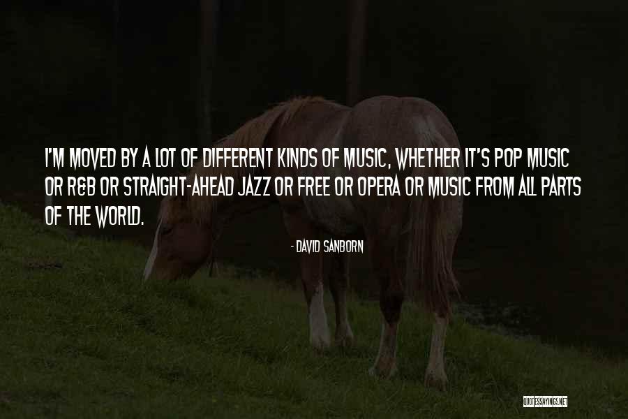 Muslim Orthodoxy Quotes By David Sanborn Muslim Orthodoxy Quotes By David Sanborn