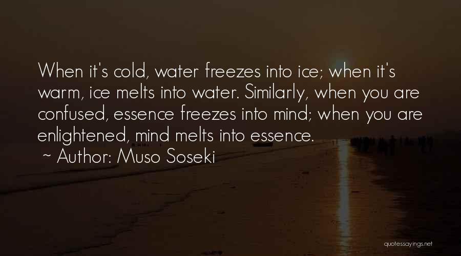 Muso Soseki Quotes 1242000