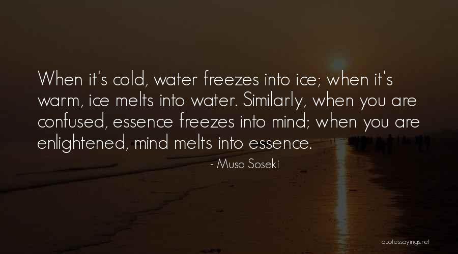 Muso Soseki Quotes 1242000