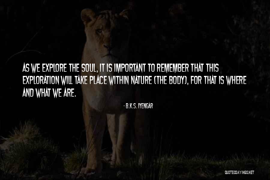Musschenbroek Experiment Quotes By B.K.S. Iyengar Musschenbroek Experiment Quotes By B.K.S. Iyengar