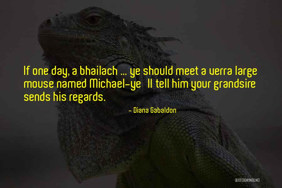 Mussurana Quotes By Diana Gabaldon