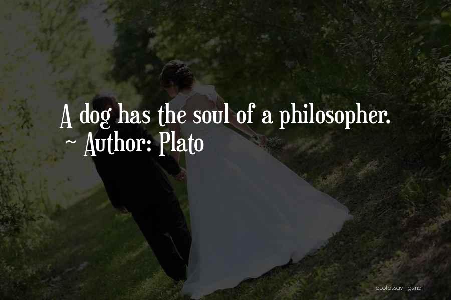 Must Love Dog Quotes By Plato