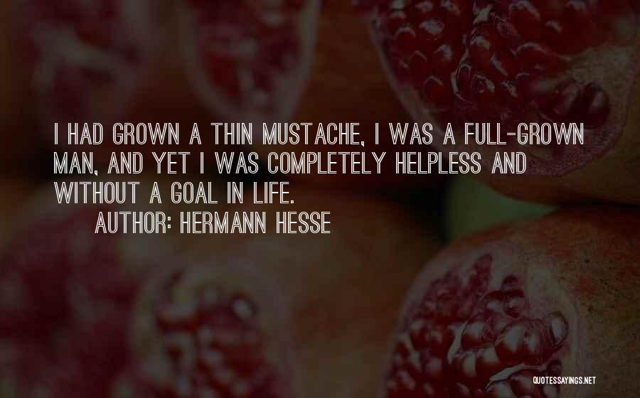 Mustache Quotes By Hermann Hesse