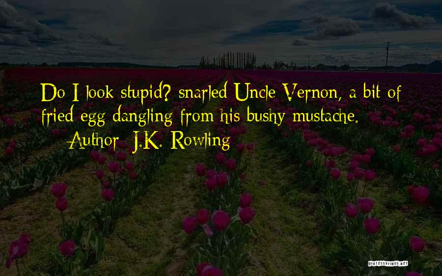 Mustache Quotes By J.K. Rowling