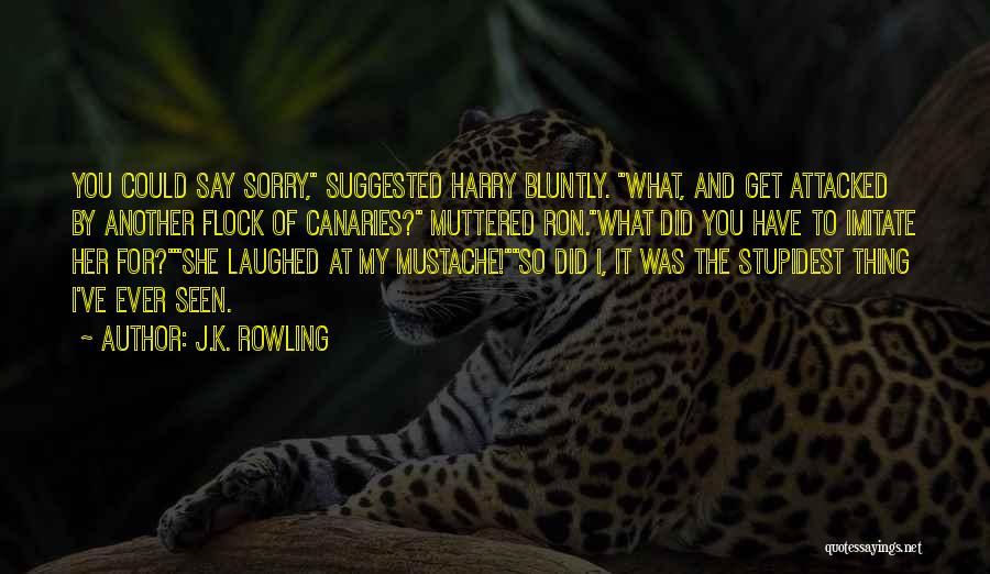 Mustache Quotes By J.K. Rowling