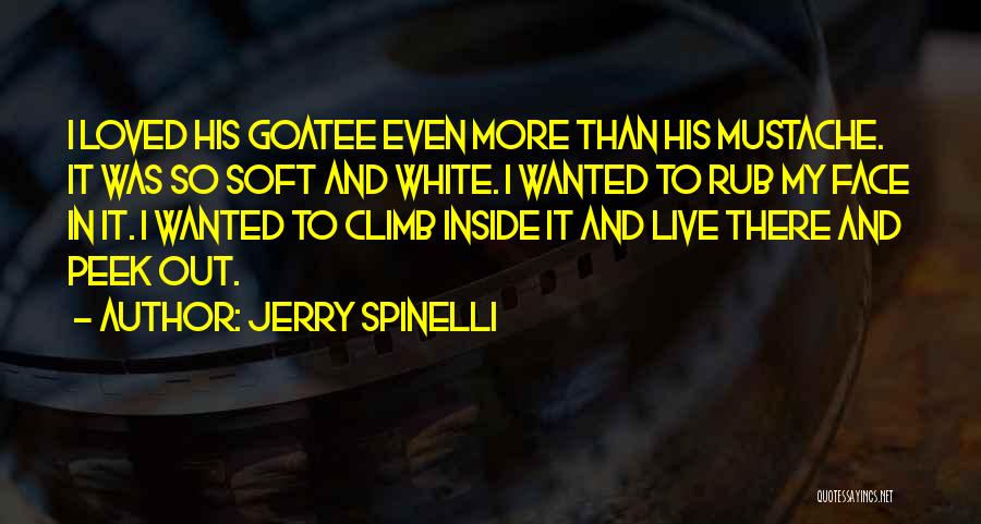 Mustache Quotes By Jerry Spinelli