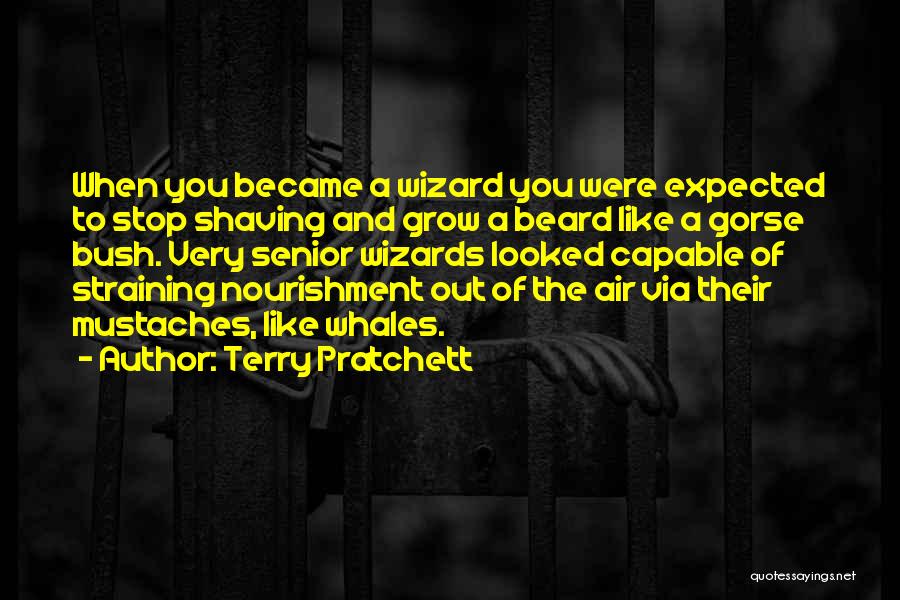 Mustaches Quotes By Terry Pratchett