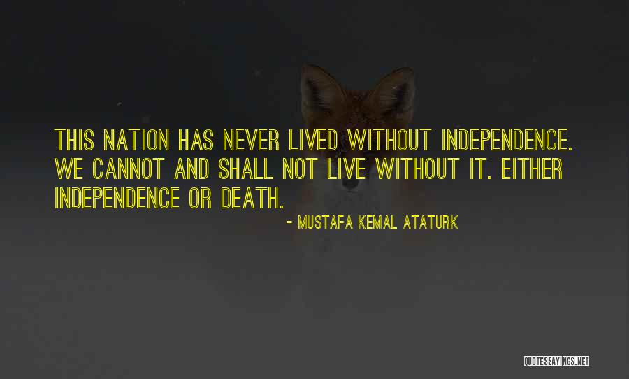 Mustafa Kemal Ataturk Quotes 1051105