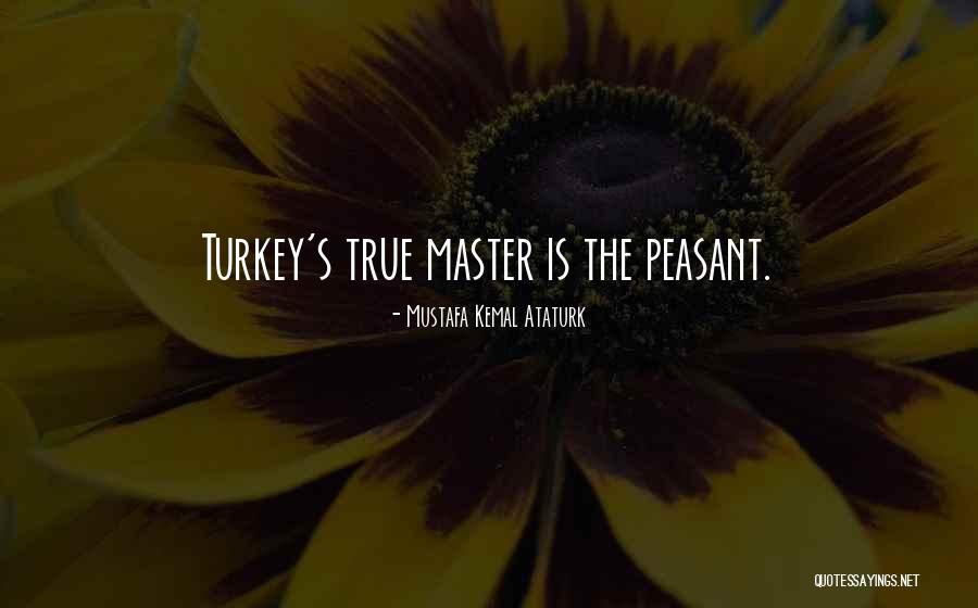 Mustafa Kemal Ataturk Quotes 923824