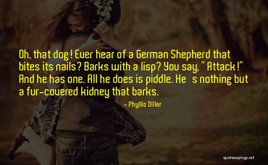 Mustaqim Bahadon Quotes By Phyllis Diller Mustaqim Bahadon Quotes By Phyllis Diller
