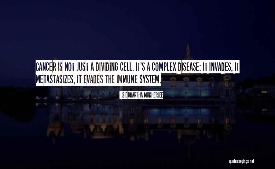 Mustard Potassium Quotes By Siddhartha Mukherjee Mustard Potassium Quotes By Siddhartha Mukherjee