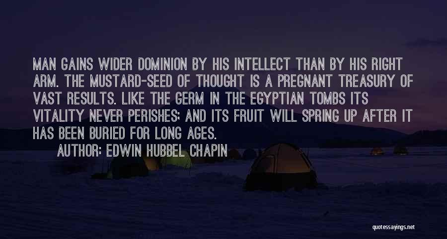 Mustard Seed Quotes By Edwin Hubbel Chapin