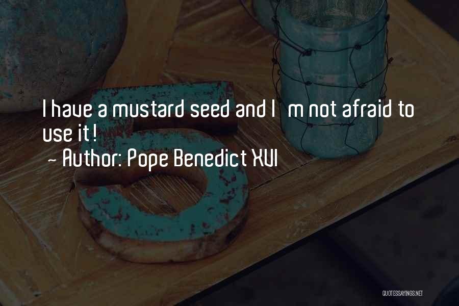 Mustard Seed Quotes By Pope Benedict XVI