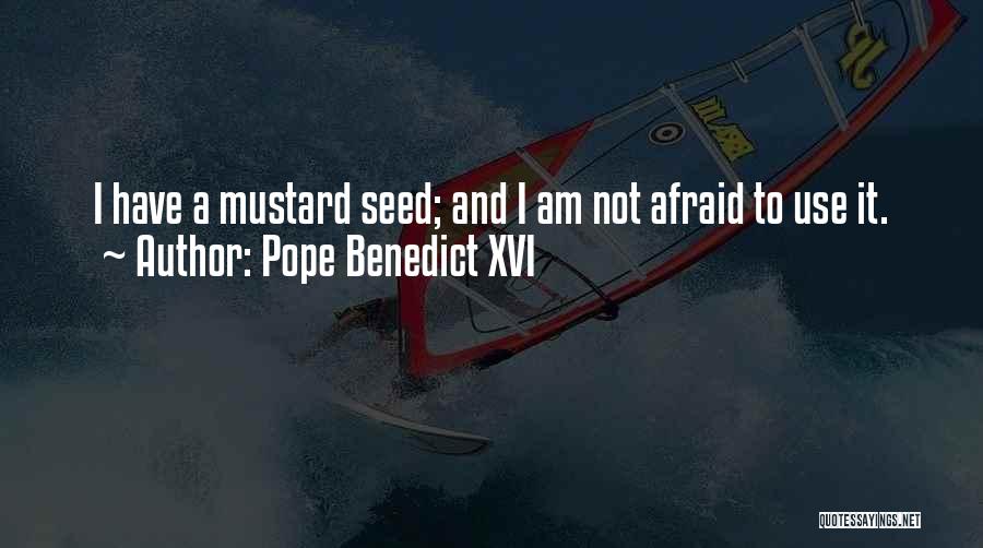 Mustard Seed Quotes By Pope Benedict XVI