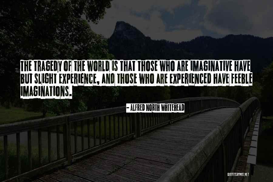 Musteata Desene Quotes By Alfred North Whitehead Musteata Desene Quotes By Alfred North Whitehead