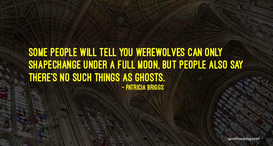 Mustique Rentals Quotes By Patricia Briggs Mustique Rentals Quotes By Patricia Briggs