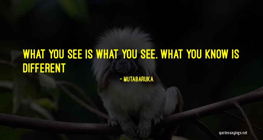 Mutabaruka Quotes 1991033