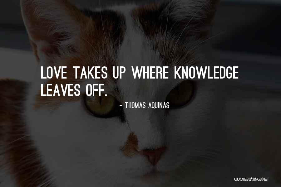 Mutari Cosmeticos Quotes By Thomas Aquinas Mutari Cosmeticos Quotes By Thomas Aquinas