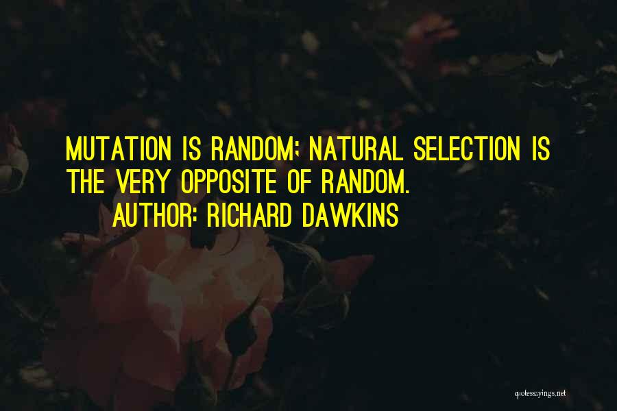 Mutation Quotes By Richard Dawkins