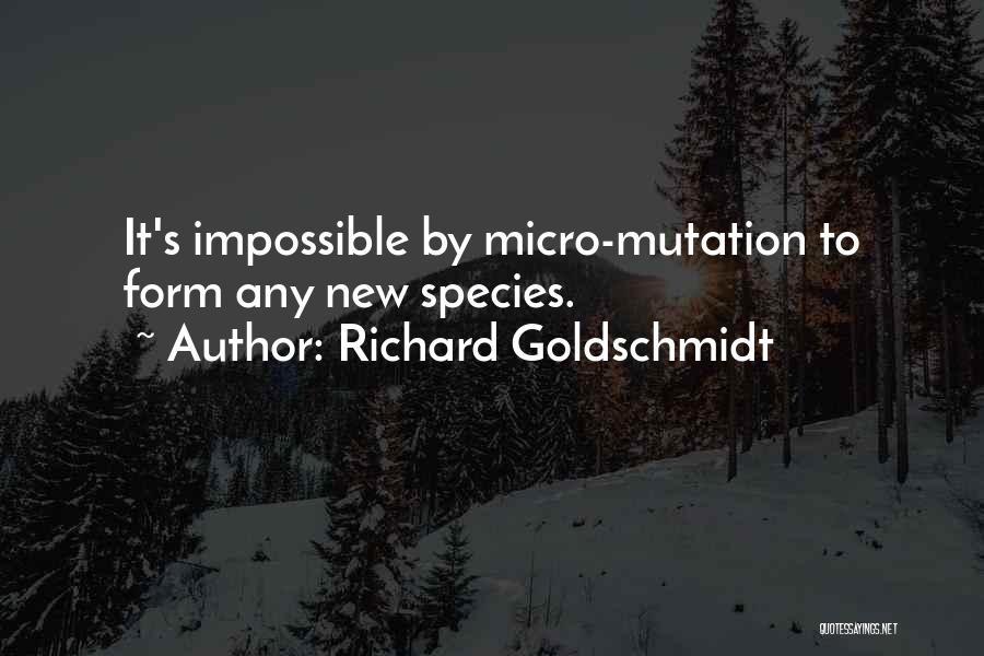 Mutation Quotes By Richard Goldschmidt