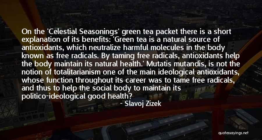 Mutatis Mutandis Quotes By Slavoj Zizek Mutatis Mutandis Quotes By Slavoj Zizek