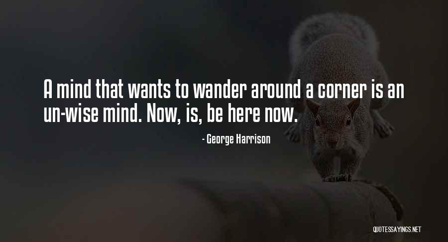 Mutawintji Quotes By George Harrison Mutawintji Quotes By George Harrison