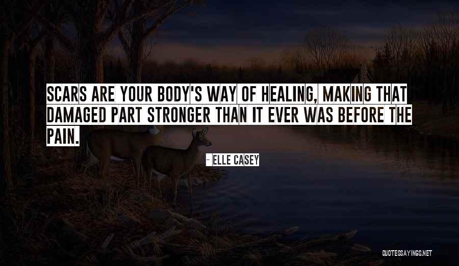 Mutts Daily Quotes By Elle Casey Mutts Daily Quotes By Elle Casey