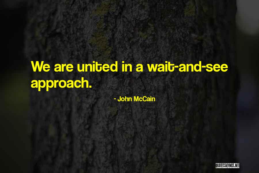 Muumuu Patterns Quotes By John McCain Muumuu Patterns Quotes By John McCain